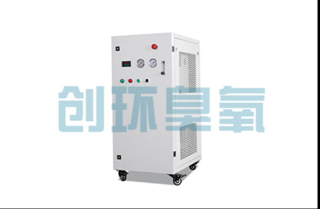 新疆工厂化养鲈必看:2026年臭氧发生器替代传统消毒的最新方案