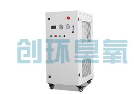 新疆石斑鱼养殖水质调控完整指南:臭氧发生器配置与操作步骤