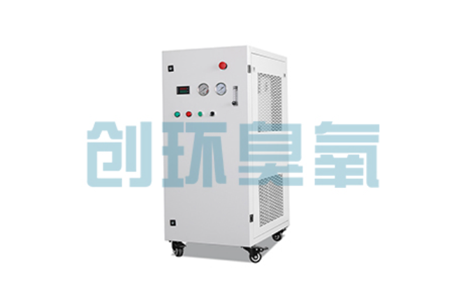 新疆比传统换水更高效?臭氧发生器在石斑鱼养殖中的水质净化原理解析